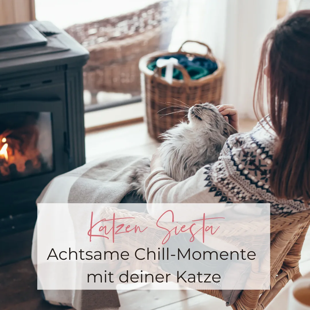 Cover Minikurs Katzen Siesta, gemütliche Kaminszene mit Katze