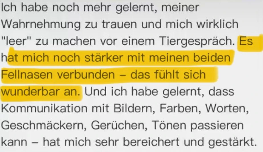 Kundenstimme: Ich habe gelernt, meiner Wahrnehmung zu trauen, es hat mich stärker mit meinen Fellnasen verbunden