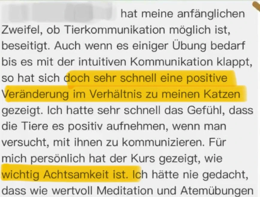 Kundenstimme: Anfängliche Zweifel beseitigt, schnell eine positive Veränderung im Verhältnis zu meinen Katzen, Achtsamkeit wurde wichtig